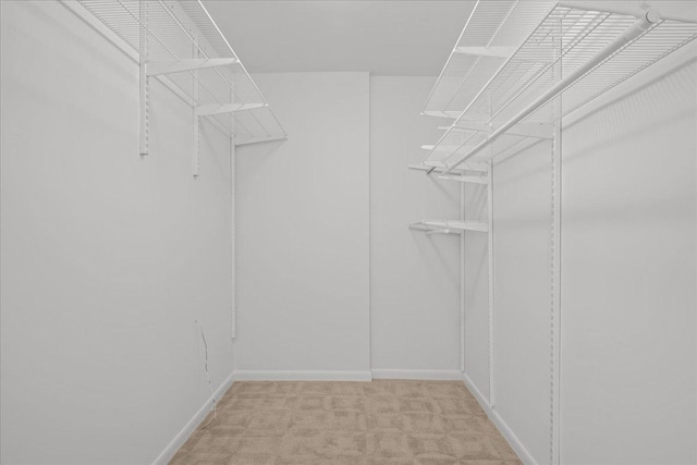 650 Winnetka Mews Unit 311, Winnetka, IL 60093 - walk in closet with light colored carpet