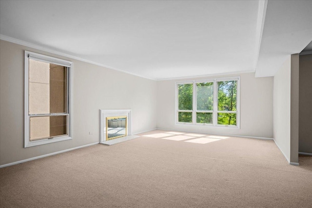 650 Winnetka Mews Unit 311, Winnetka, IL 60093 - unfurnished living room featuring carpet flooring and crown molding