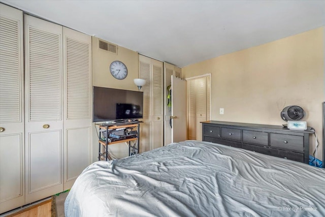 1227 S Harlem Ave Unit 514, Berwyn, IL 60402 - bedroom with two closets