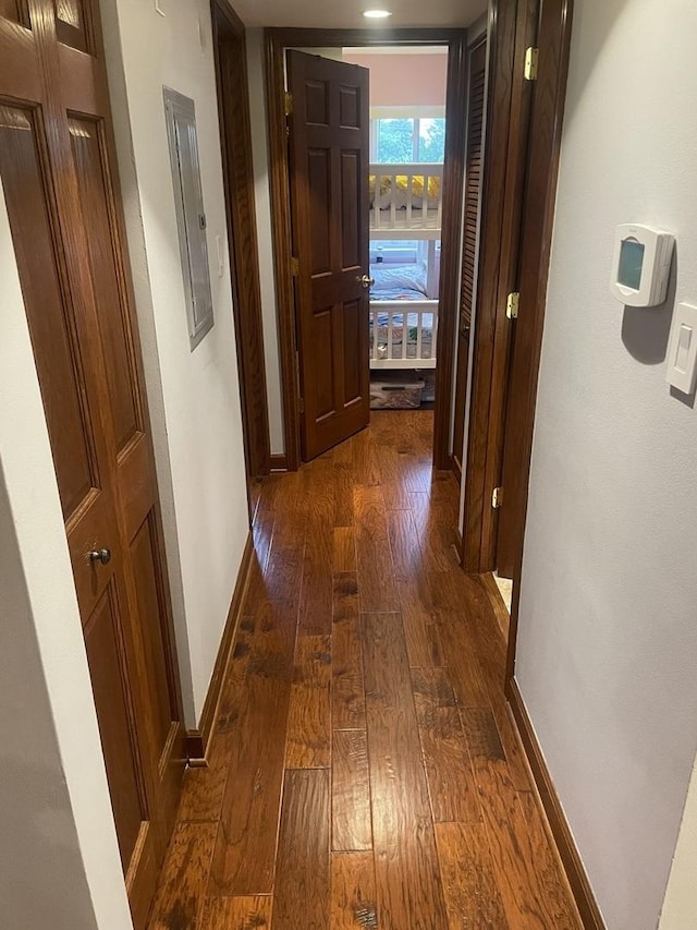 1017 Buccaneer Dr Unit 5, Schaumburg, IL 60173 - corridor featuring dark wood-style floors and electric panel