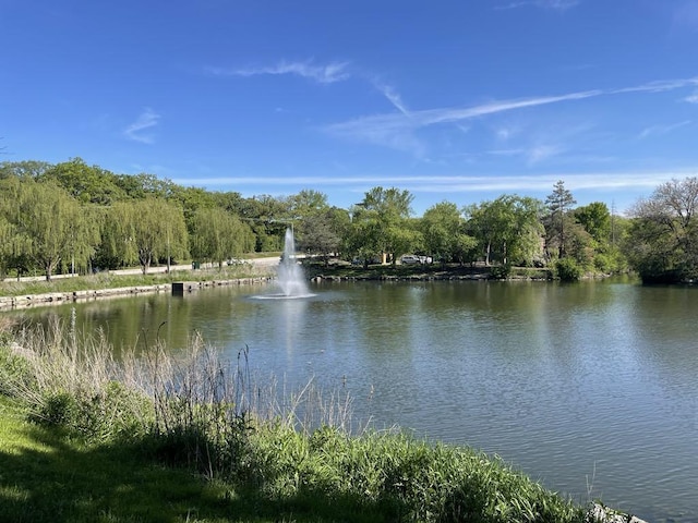 1017 Buccaneer Dr Unit 5, Schaumburg, IL 60173 - water view