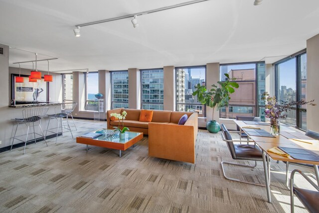 260 E Chestnut St Unit 2701, Chicago, IL 60611 - photo 4