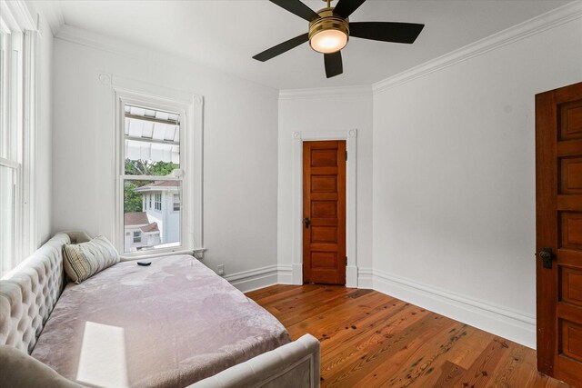 242 W Center St, Paxton, IL 60957 - photo 42