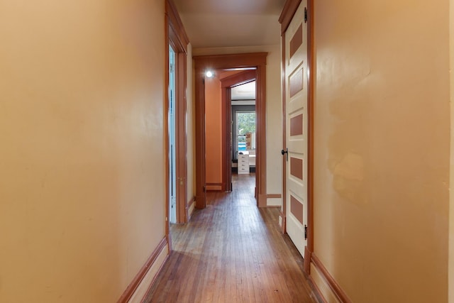 818 N State St, Belvidere, IL 61008 - hall featuring wood finished floors and baseboards