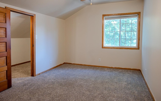 224 N Maple St, Gilman, IL 60938 - additional living space with carpet floors and lofted ceiling