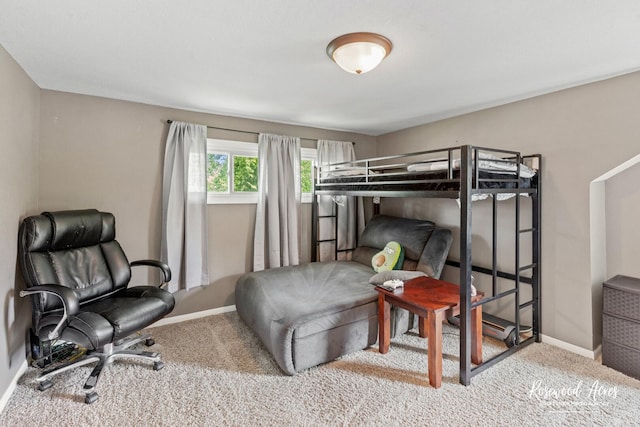 382 N 8th Ave, Kankakee, IL 60901 - bedroom featuring carpet