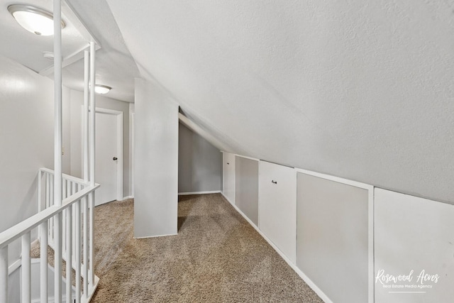 382 N 8th Ave, Kankakee, IL 60901 - bonus room with carpet floors, vaulted ceiling, and a textured ceiling