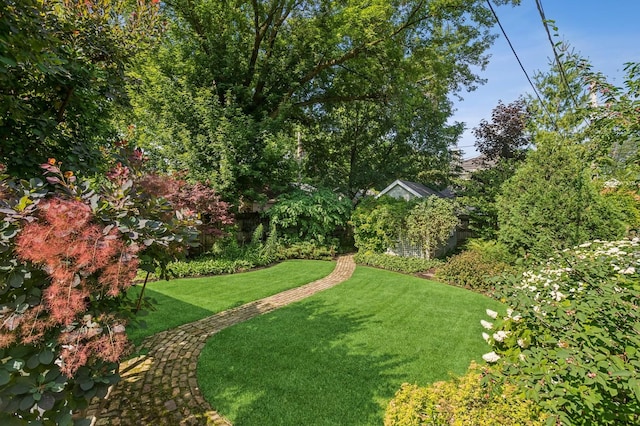 1422 Wesley Ave, Evanston, IL 60201 - view of green lawn