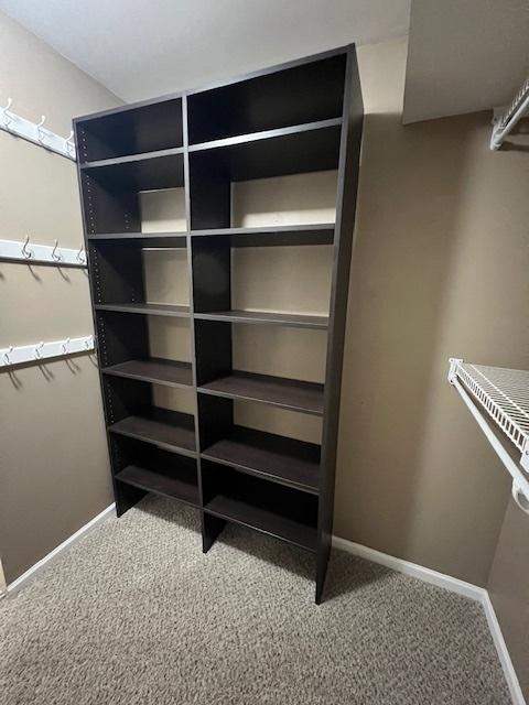 372 S Crown Ct, Palatine, IL 60074 - spacious closet with carpet