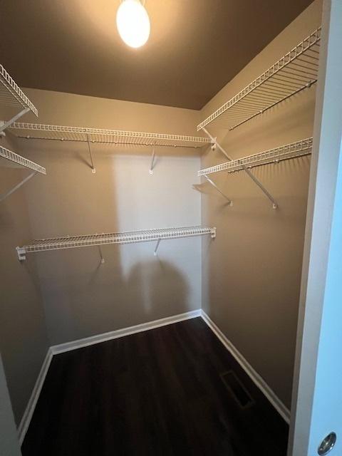 372 S Crown Ct, Palatine, IL 60074 - spacious closet featuring dark wood-style floors
