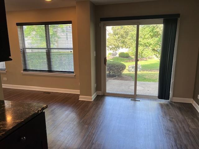 372 S Crown Ct, Palatine, IL 60074 - doorway to outside with dark wood-style flooring and plenty of natural light