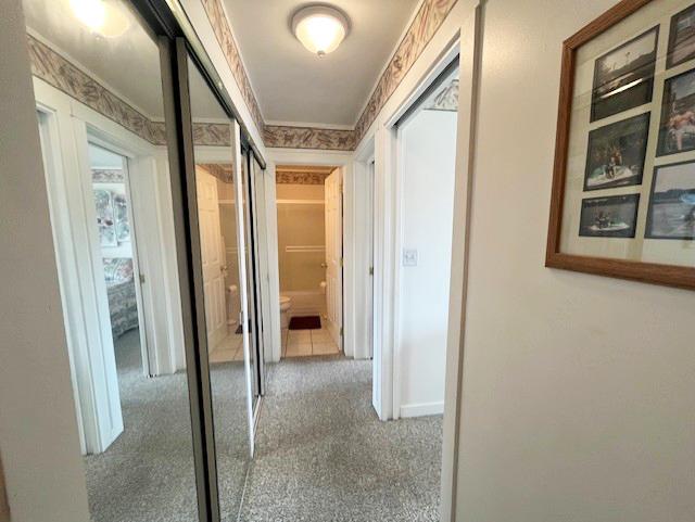 56 Vail Colony Unit 1, Fox Lake, IL 60020 - hallway with carpet flooring and baseboards