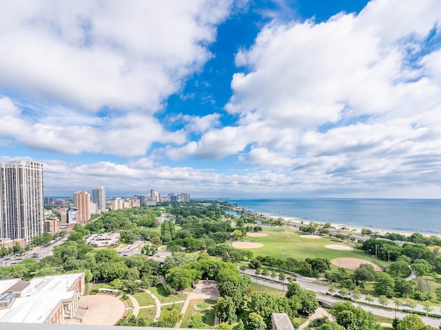 1555 N Dearborn Pkwy Unit 15B, Chicago, IL 60610 - photo 21
