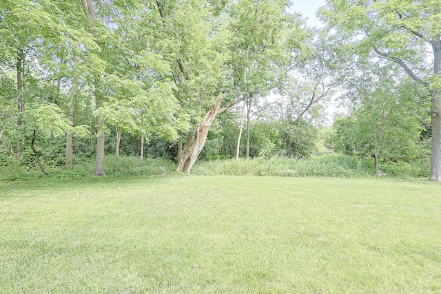108 Poplar St, Mchenry, IL 60051 - view of green lawn
