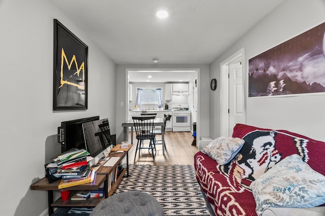305 Irving St, Joliet, IL 60432 - living area featuring light wood-style floors and recessed lighting