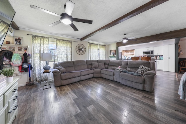 162 Grant St, Seneca, IL 61360 - living room featuring a ceiling fan, a textured ceiling, beamed ceiling, dark wood-type flooring, and ornamental molding