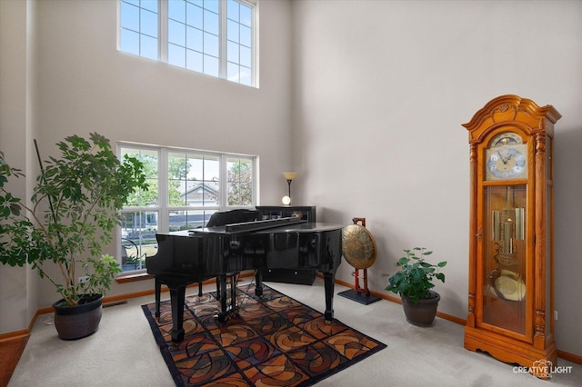 7512 Prairieside Dr, Plainfield, IL 60586 - sitting room featuring carpet floors, a desk, and a high ceiling