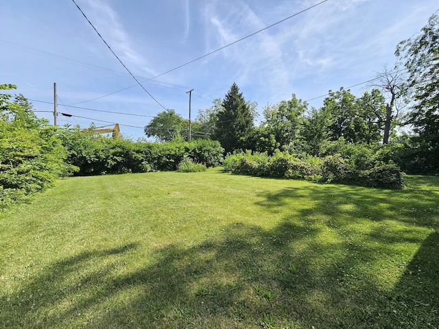 216 E Delaware St, Dwight, IL 60420 - view of grassy yard