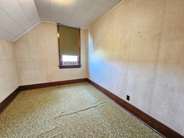 216 E Delaware St, Dwight, IL 60420 - bonus room with vaulted ceiling and carpet floors