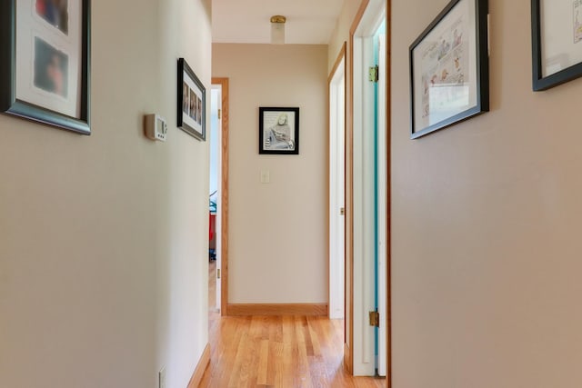 1001 Sheridan Rd, Normal, IL 61761 - hall featuring light wood-type flooring and baseboards
