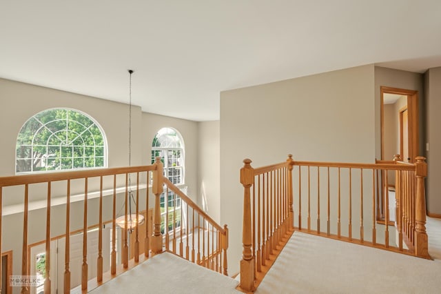 1884 Shore Line Ct, Romeoville, IL 60446 - corridor with an upstairs landing and carpet flooring