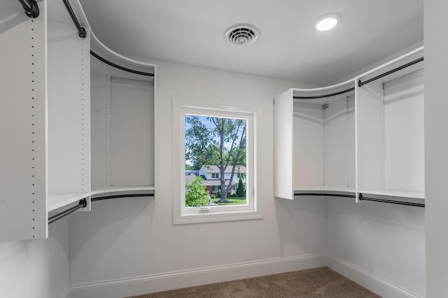 1205 Broadmoor Dr, Champaign, IL 61821 - walk in closet featuring carpet floors