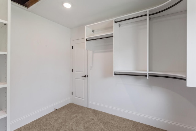 1205 Broadmoor Dr, Champaign, IL 61821 - walk in closet with carpet flooring