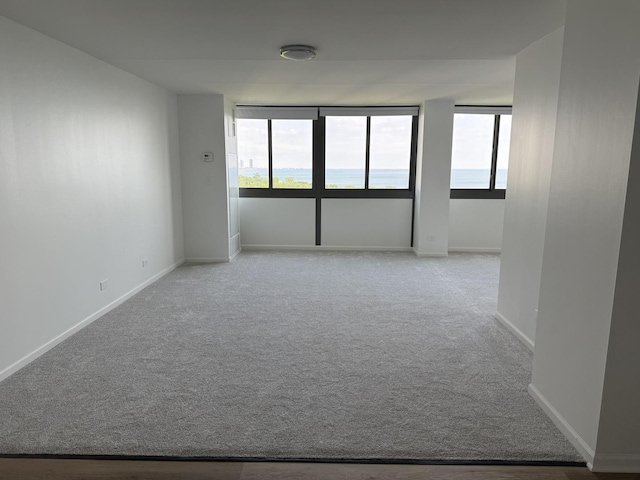 4850 S Lake Park Ave Unit 1508, Chicago, IL 60615 - spare room featuring carpet and baseboards