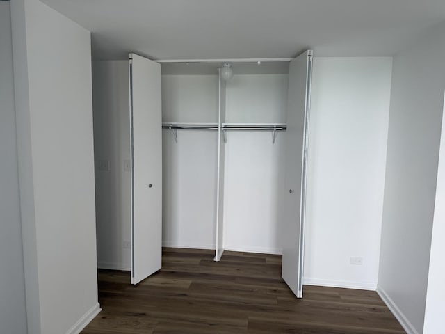 4850 S Lake Park Ave Unit 1508, Chicago, IL 60615 - view of closet