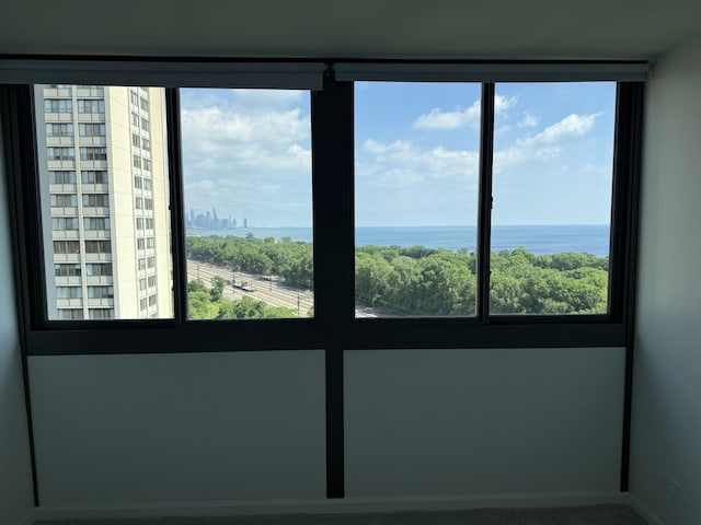 4850 S Lake Park Ave Unit 1508, Chicago, IL 60615 - spare room with a water view