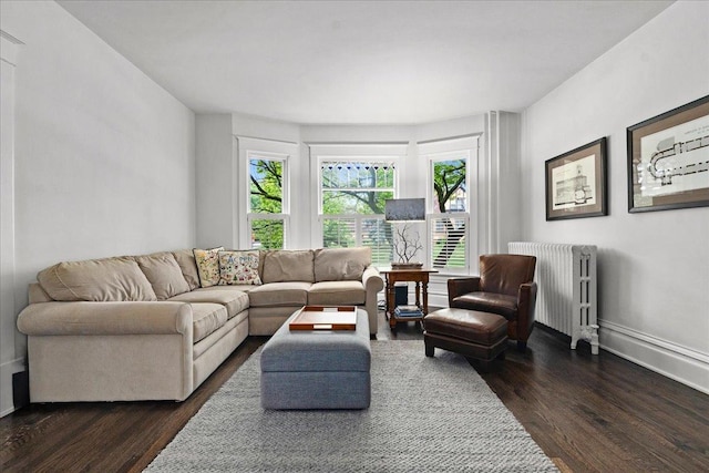 1109 N Dunton Ave, Arlington Heights, IL 60004 - living room with radiator heating unit and dark wood-style flooring