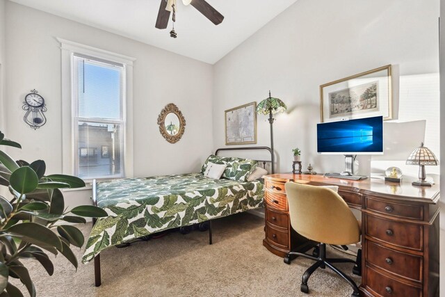 4914 S Washington Park Ct, Chicago, IL 60615 - photo 27