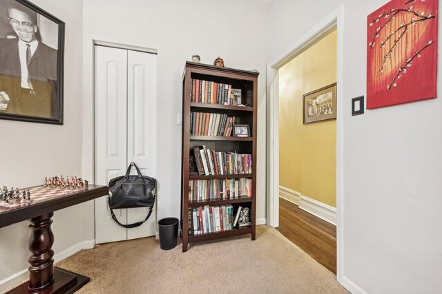 4914 S Washington Park Ct, Chicago, IL 60615 - photo 30