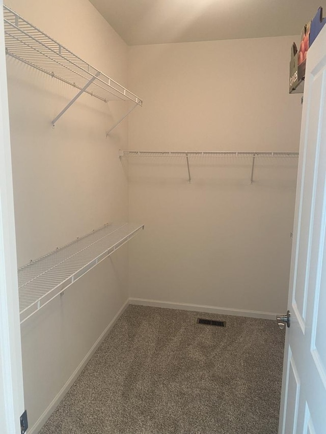 13065 Big Horn Dr, Huntley, IL 60142 - walk in closet featuring carpet flooring