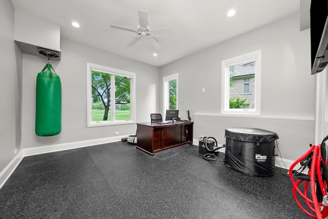33 Aburdour Ct, North Barrington, IL 60010 - photo 50