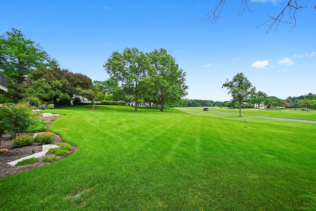 33 Aburdour Ct, North Barrington, IL 60010 - photo 61