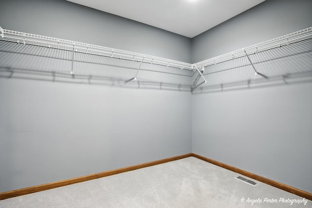 5904 Whiting Dr, Mchenry, IL 60050 - photo 15
