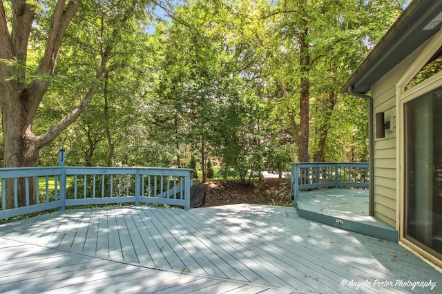 5904 Whiting Dr, Mchenry, IL 60050 - photo 31