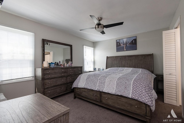 40 Jackson Ln, Streamwood, IL 60107 - carpeted bedroom featuring multiple windows and ceiling fan