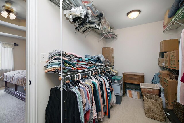 1920 Summerfield Ln, Bourbonnais, IL 60914 - walk in closet featuring carpet