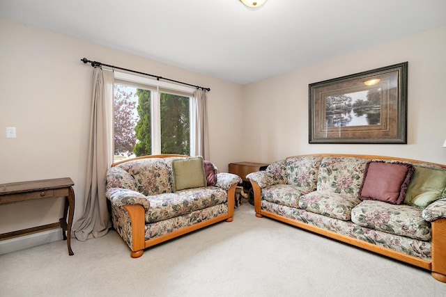 1920 Summerfield Ln, Bourbonnais, IL 60914 - view of carpeted living room