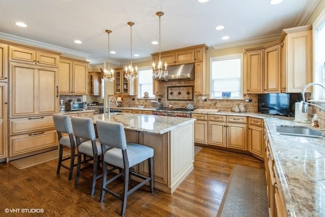 909 Red Oak Dr, Western Springs, IL 60558 - photo 16