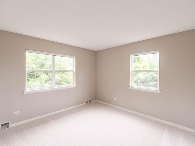 525 W Washington Ave Unit 9, Lake Bluff, IL 60044 - empty room featuring plenty of natural light and light colored carpet