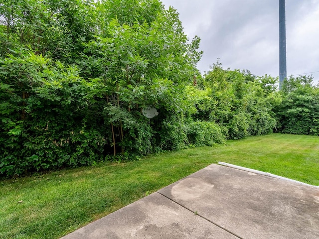 525 W Washington Ave Unit 9, Lake Bluff, IL 60044 - view of green lawn with a patio area
