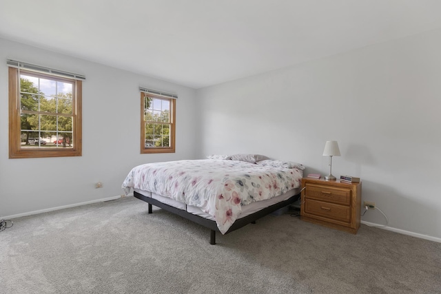 202 Dublin Ln Unit V-1, Schaumburg, IL 60194 - carpeted bedroom with multiple windows