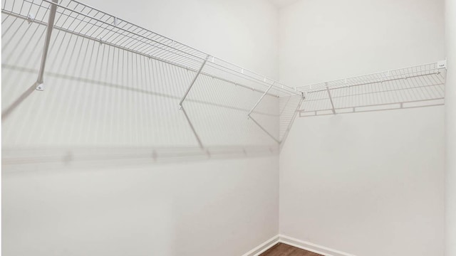 11371 Wildridge Ln, Huntley, IL 60142 - spacious closet featuring wood finished floors