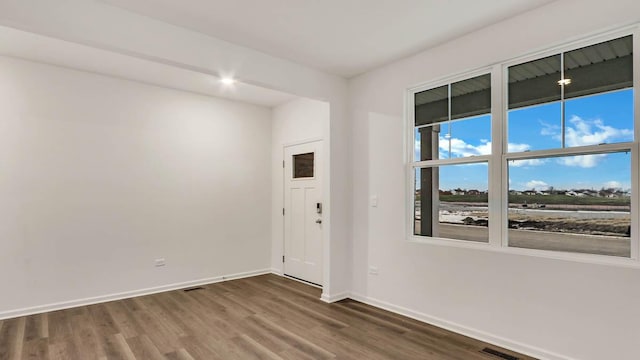 11371 Wildridge Ln, Huntley, IL 60142 - unfurnished room with wood finished floors and baseboards
