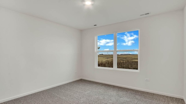 11371 Wildridge Ln, Huntley, IL 60142 - spare room with light carpet and baseboards