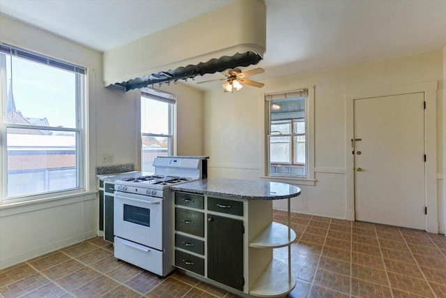 5207 Galitz St, Skokie, IL 60077 - photo 37