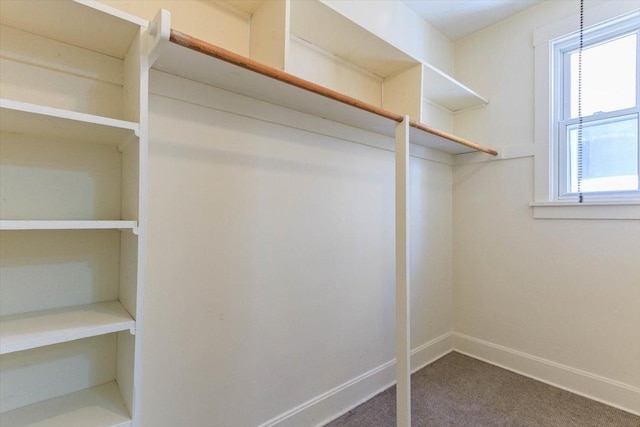 5207 Galitz St, Skokie, IL 60077 - photo 48